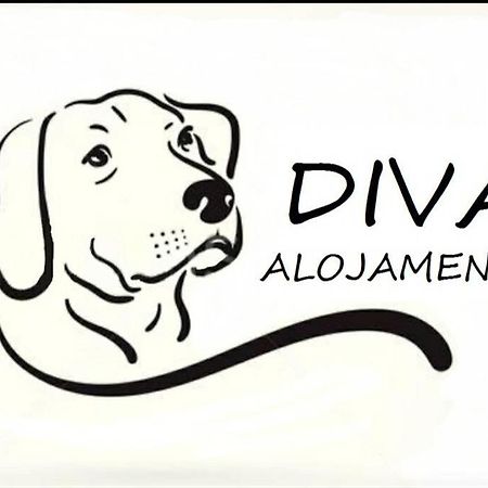 Diva Alojamento Matosinhos  Extérieur photo